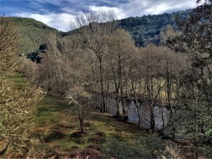 El río Ancares cerca del paraje de Los Puliñeiros, Villabuena, Cacabelos, El Bierzo, León, Castila y León, España.