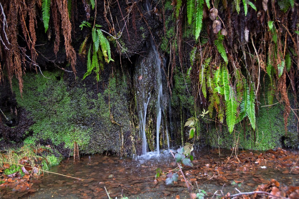 Fuente en el camino de Suertes a Guímara, Valle de Ancares (Candín), Ancares, El Bierzo, León, Castilla y León, España.