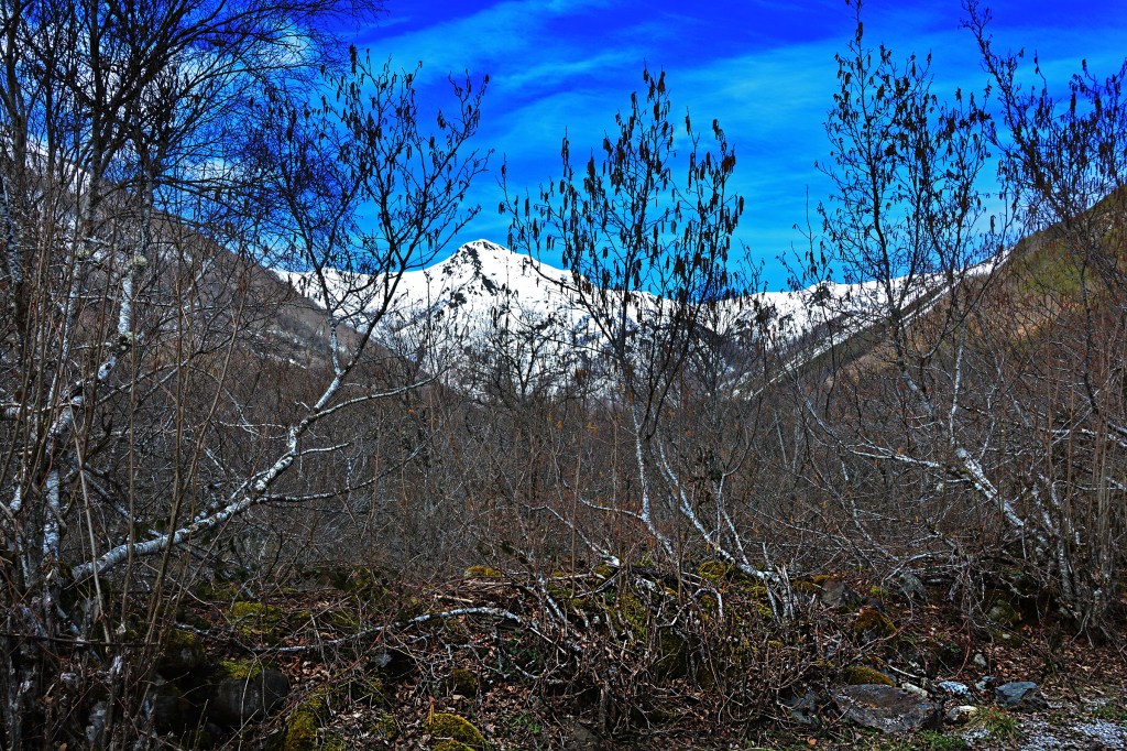 El Pico Venera (1822 m) desde el valle del río Ancares en la subida al Puerto de Ancares, Valle de Ancares (Candín), Ancares, El Bierzo, León, Castilla y León, España.
