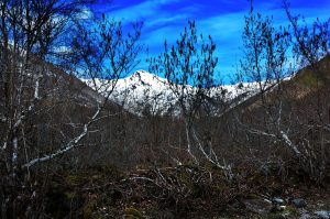 El Pico Venera (1822 m) desde el valle del río Ancares 2n la subida al Puerto de Ancares, Valle de Ancares (Candín), Ancares, El Bierzo, León, Castilla y León, España.