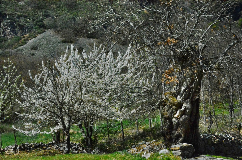 Rincón de Burbia, Vega de Espinareda, El Bierzo, Ancares, León, Castilla y León, España.