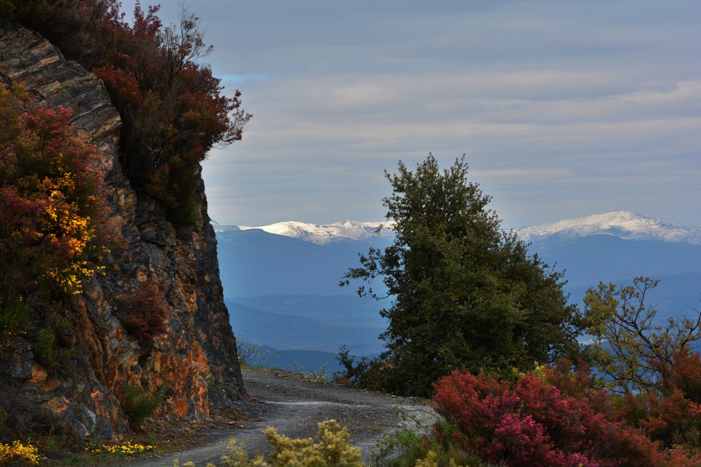 Hacia lo icónico en las Inmediaciones de Ferradillo, Priaranza del Bierzo, El Bierzo, León, Castilla y León, España.