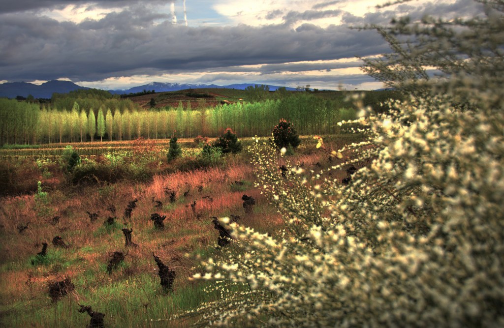 Como cada nuevo año las mismas agradables evocaciones con el paisaje de Arganza, El Bierzo, León, Castilla y león, España.