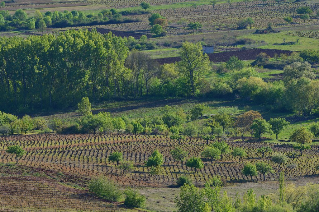 Desde Castroventosa, por el lado de Cacabelos, El Bierzo, León, Castilla y León, España.