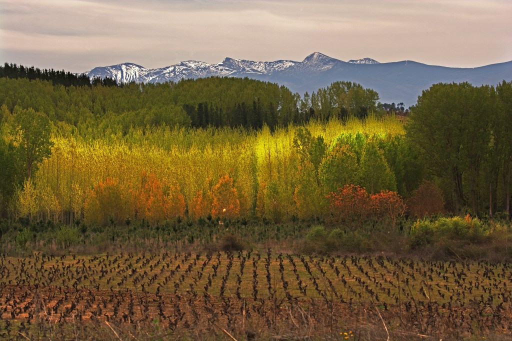Los Montes Aquilianos desde las cercanías de San Juan de la Mata, Arganza, El Bierzo, León, Castilla y León, España.