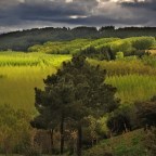 SERIE : BAJO OTRA MIRADA (I) – Primavera (6)