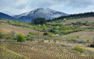 Vista del Alto de la Aquiana desde las inmediaciones de Ferradillo, Priaranza del Bierzo, El Bierzo, León, Castilla y León, España.
