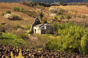 Iglesia de San Martín, Pieros, Cacabelos, El Bierzo, León, Castilla y León, España.