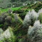 SERIE : BAJO OTRA MIRADA (I) – Primavera (8)