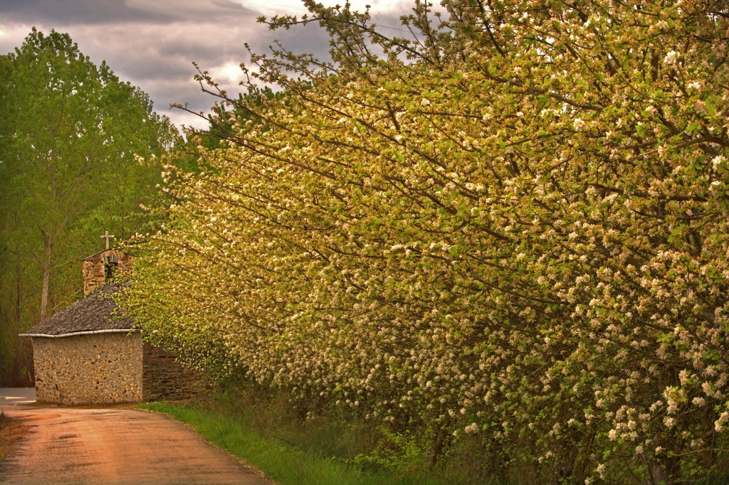 Frutales y Ermita de San Clemente en su barrio bajo, Cacabelos, El Bierzo, León, Castilla y León, España.