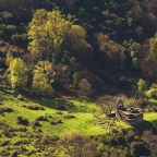 SERIE : BAJO OTRA MIRADA (I) – Primavera (9)