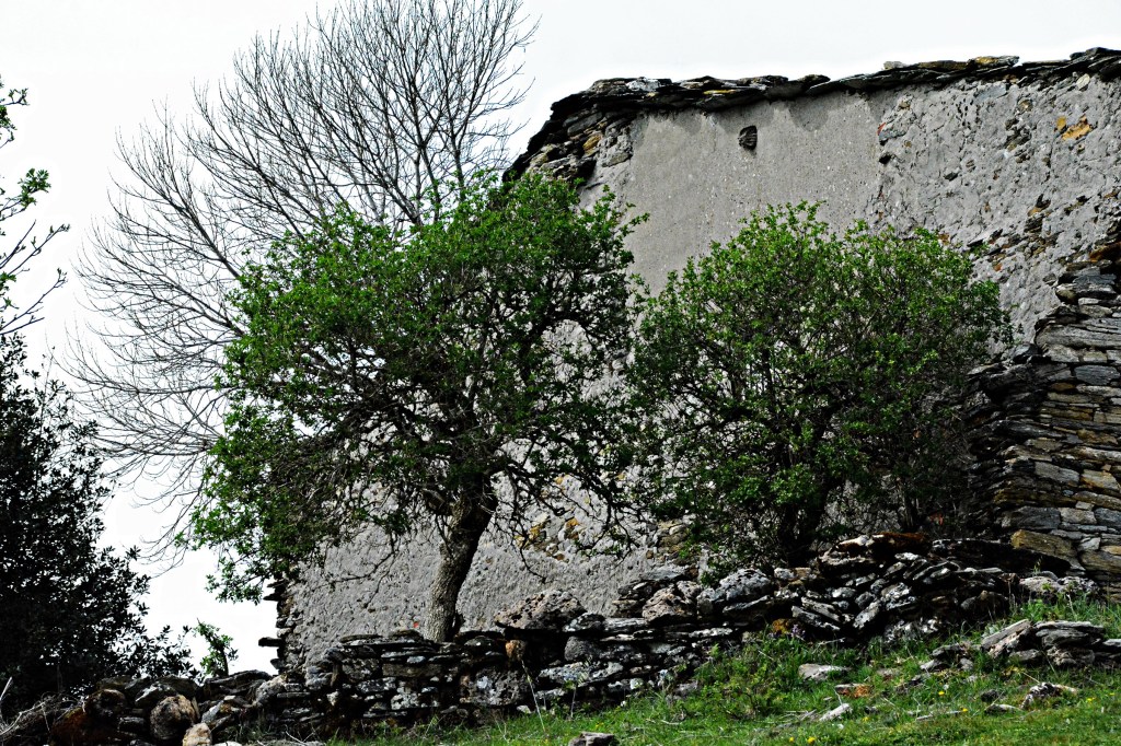 Casa del poblado abandonado de As Cruces, Barjas, El Bierzo, León, Castilla y León, España.