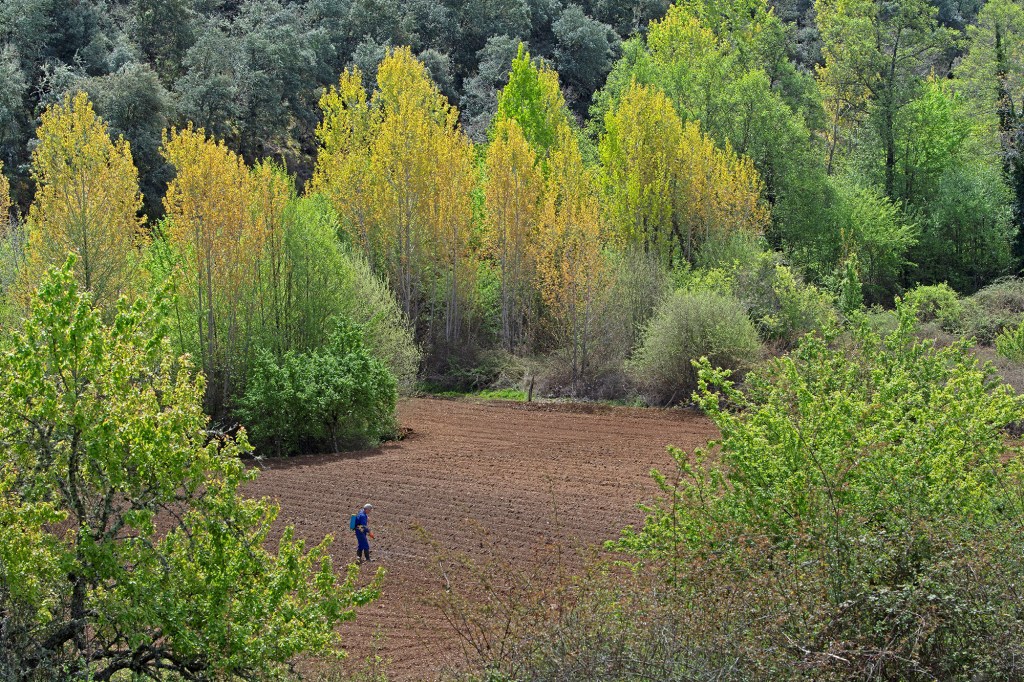Agricultor sulfatando el campo en San Juan de la Mata, Arganza, El Bierzo, León, Castilla y León, España.