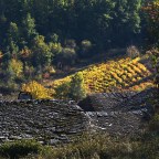 SERIE : PARAÍSOS CERCANOS 5. El BIERZO (1). CACABELOS (1)