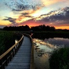 SERIE : PARAÍSOS CERCANOS 13. CIUDAD REAL (1)