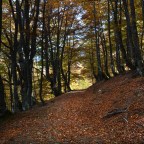 SERIE : PARAÍSOS CERCANOS 20. ASTURIAS (2)