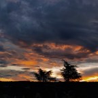 SERIE : PARAÍSOS CERCANOS 23. MADRID (1)