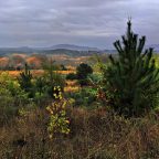 SERIE : BAJO OTRA MIRADA (II) – Otoño (3)