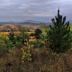 SERIE : BAJO OTRA MIRADA (II) – Otoño (3)