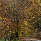 SERIE : PARAÍSOS CERCANOS 49. EL BIERZO (21)