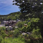 SERIE : PARAÍSOS CERCANOS 54. EL BIERZO (25)