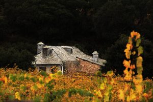 Vides, buhardillas y chimeneas en Arganza, El Bierzo, León, Castilla y León, España.