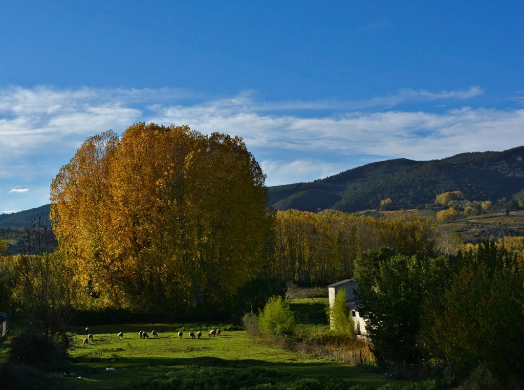En las inmediaciones del paraje de La Edrada, Cacabelos, El Bierzo, León, Castilla y León, España.