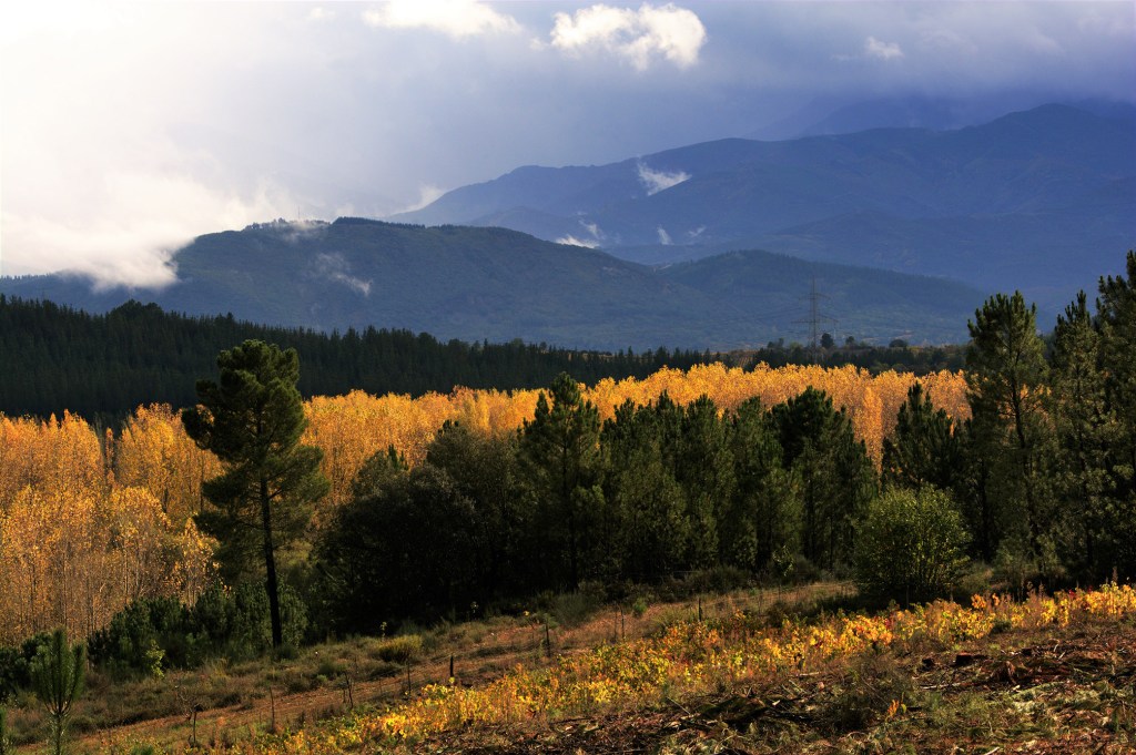 En tierras de Quilós, Cacabelos, El Bierzo, León, Castilla y León, España.