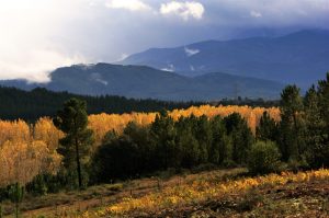 Vista desde las tierras de Quilós, Cacabelos, El Bierzo, León, Castilla y León, España.