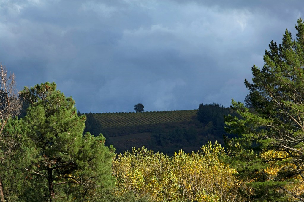 Desde las inmediaciones de Canedo, Arganza, El Bierzo, León, Castilla y León, España.