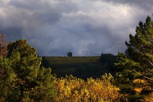 Desde las inmediaciones de Canedo, Arganza, El Bierzo, León, Castilla y León, España.