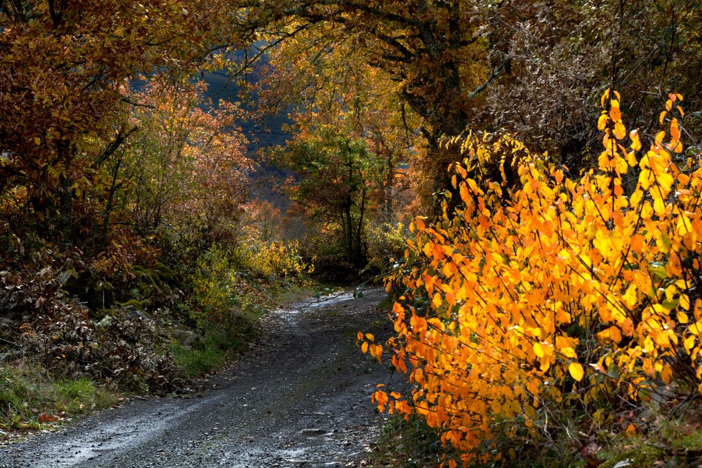 Camino hacia Aira da Pedra desde Burbia, Vega de Espinareda, El Bierzo, León, Castilla y León, España.