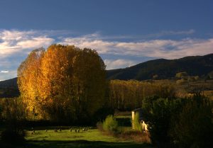En las inmediaciones del paraje de La Edrada, Cacabelos, El Bierzo, León, Castilla y León, España.