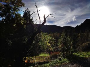 Contraluz en el paraje de Los Puliñeiros, Villabuena, Cacabelos, El Bierzo, León, Castilla y León, España.