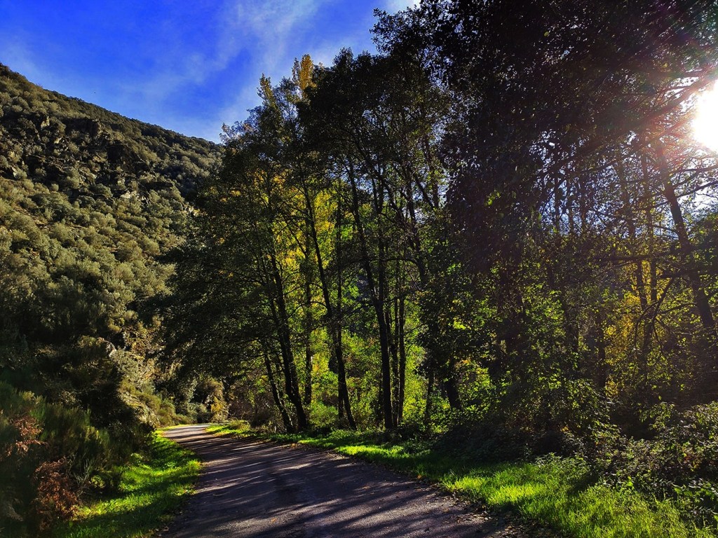 En un lugar indeterminado entre San Vicente y Quilos, El Bierzo, León, Castilla y León, España.
