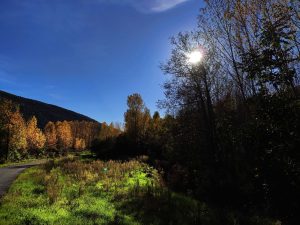 Luz incidente sobre los álamos entre San Vicente y Quilós, El Bierzo, León, Castilla y León, España.