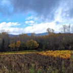 SERIE : BAJO OTRA MIRADA (II) – Otoño (4)