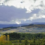 SERIE : BAJO OTRA MIRADA (II) – Otoño (5)