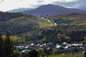 San Clemente con la carretera, o bien a Pobladura de Somoza o a Pieros, Cacabelos, El Bierzo, León, Castilla y León, España.