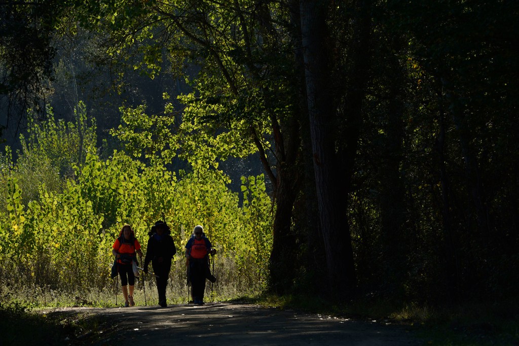 Peregrinos por el Camino de Santiago a su paso por las inmediaciones de Cacabelos, El Bierzo, León, Castilla y León, España.