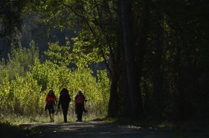 Peregrinos por el Camino de Santiago a su paso por las inmediaciones de Cacabelos, El Bierzo, León, Castilla y León, España.