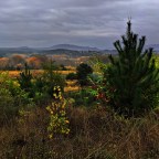 SERIE : BAJO OTRA MIRADA (II) – Otoño (3)