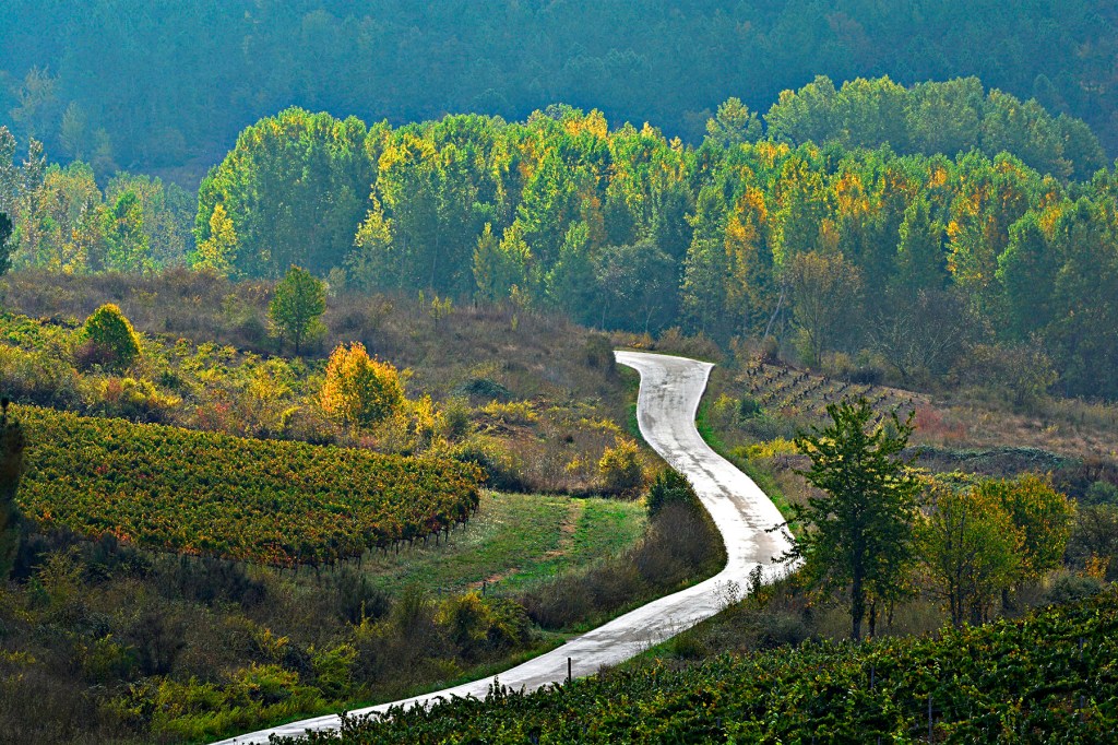 Entre Magaz de Arriba y Arganza, El Bierzo, León, Castilla y León, España.