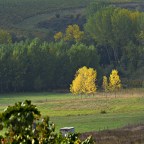 SERIE : BAJO OTRA MIRADA (II) – Otoño (8)