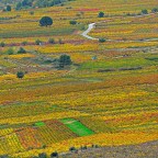 SERIE : BAJO OTRA MIRADA (II) – Otoño (8)