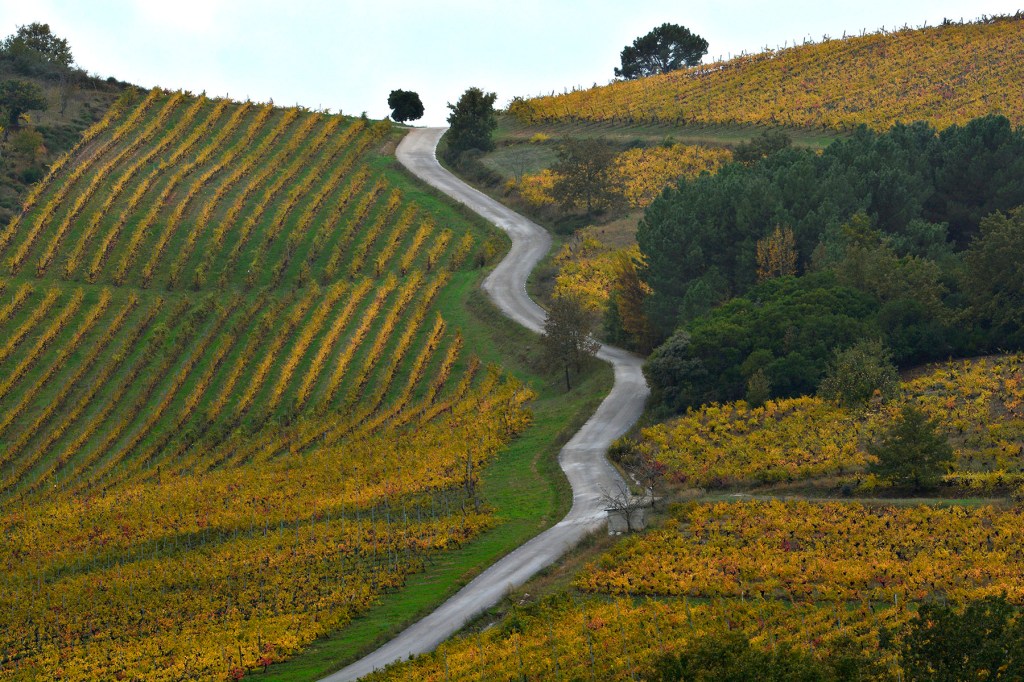 Carretera de San Clemente en dirección a Pieros, Cacabelos, El Bierzo, León, Castilla y León, España.
