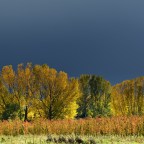 SERIE : BAJO OTRA MIRADA (II) – Otoño (10)