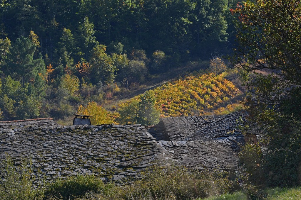 Inmediaciones de San Clemente, Cacabelos, El Bierzo, León, Castilla y León, España.