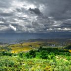 SERIE : BAJO OTRA MIRADA (II) – Otoño (12)