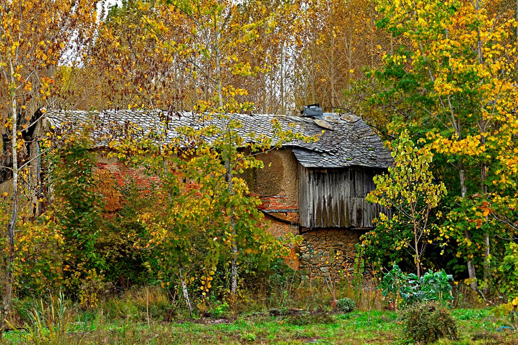 Casa con el tiempo en su contra para desaparecer entre ruinas en el paraje de Las Angustias, Cacabelos, El Bierzo, León, Castilla y León, España.